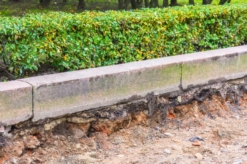 Garden Maintenance Experts