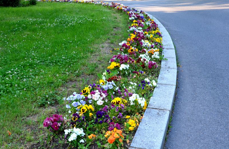Local Concrete Flower Bed Edging pros at work